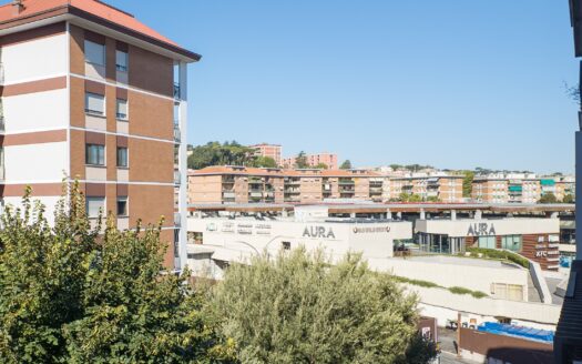 Via Carlo Galassi Paluzzi